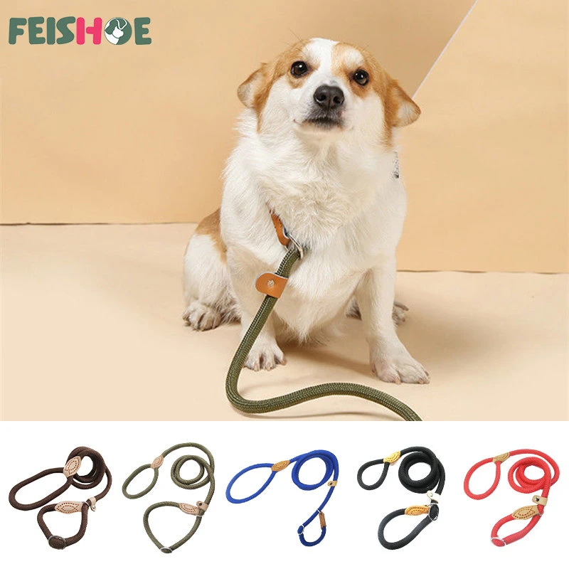 How Do You Train A Bulldog Puppy To Walk On A Leash