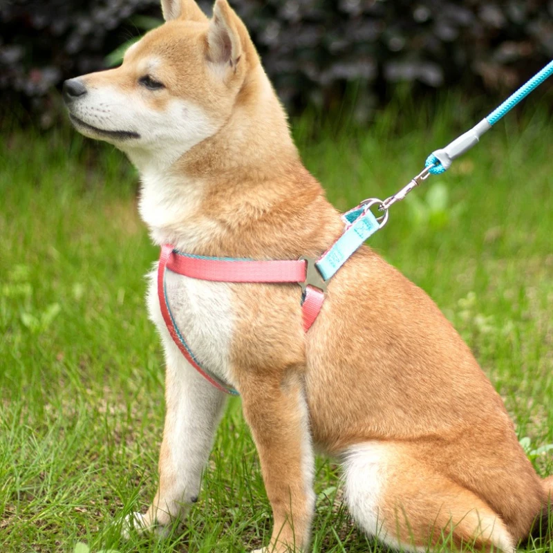 Adjustable Indoor/Outdoor Pet Leash and Harness Set – Break-Free Design, Vibrant Colors