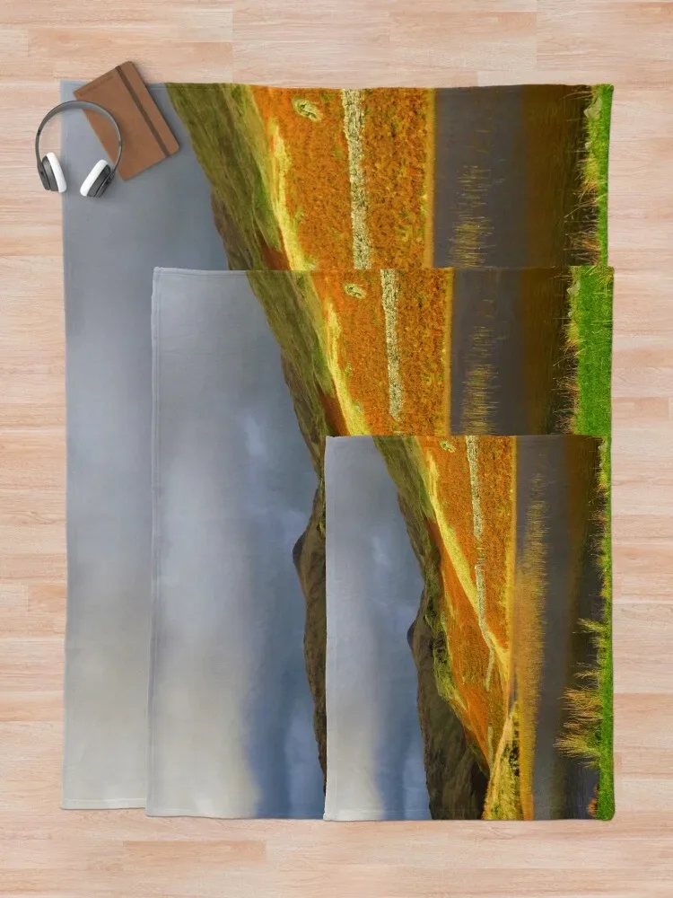 Рисунок 5 - Покрывало для броска