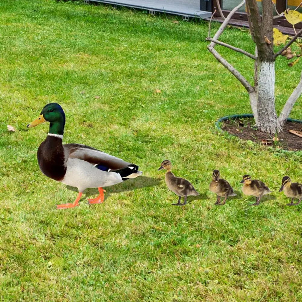 Eco-friendly Yard Sign Easy Installation Land Insert Sign Duck Garden Stakes Realistic Garden Duck Stakes Garden Decor