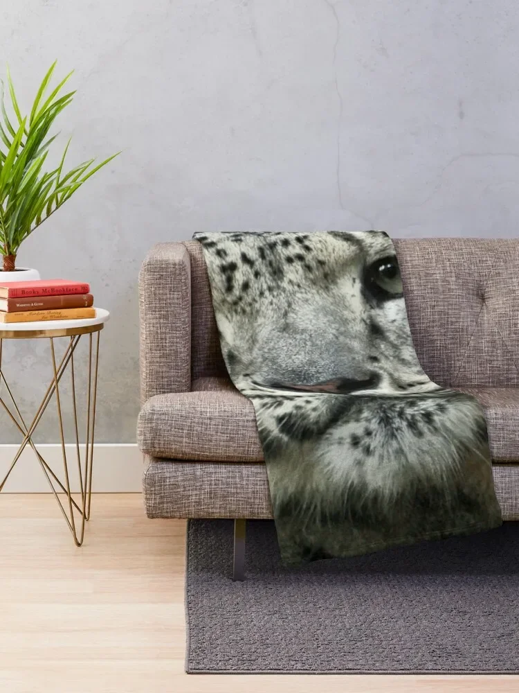 �����ĵ� 001 ������ ���, �ε巯�� ���� ���� ����, ������ �ܿ� �ڽ�����, �ִϸ��̼� ħ�� Ŀ�� ���