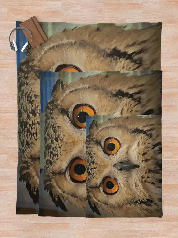 �ε�� ������ �û��� ������ ���, ���Ŀ� ���� ����, ���� ���� ���