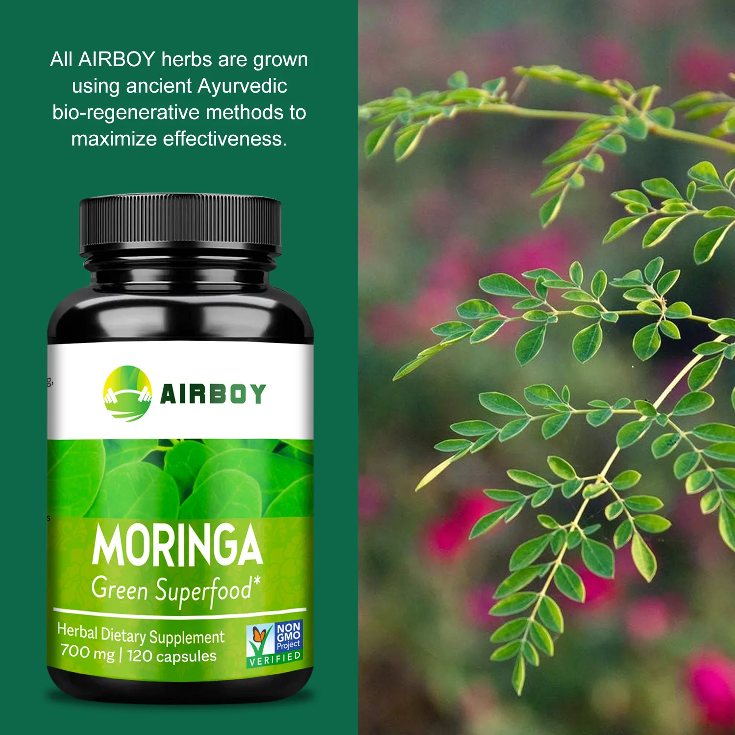 Energy Booster Organic Moringa Capsules Relieve Joint Pain and Promote Energy Production
