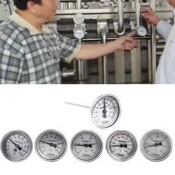 Stainless Steel Bi-metallic Thermometer 1/4PT Thread L=100mm 0~50~300℃ WSS-303 for Pipeline 2-inch Diameter Drop Shipping