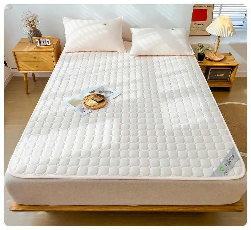 

Dropshipping Customizable Size Mattress Soft Mattress Home Tatami Mat Was The Floor Mat Student 22511686