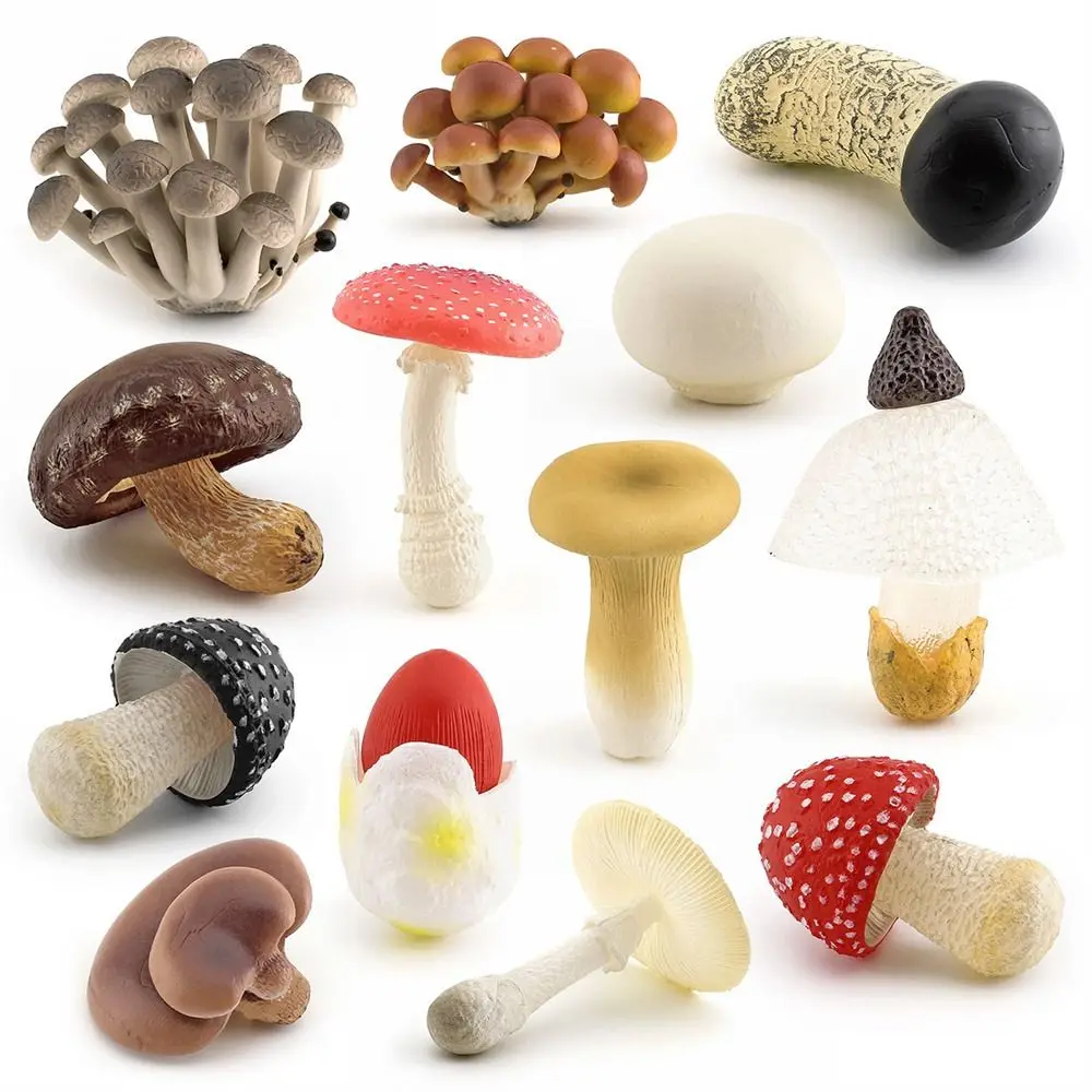 

Matsutake Oyste Fungus Figurines Artificial Vegetable Model Fungus Model Teaching Toy Pleurotus Simulation Mushroom