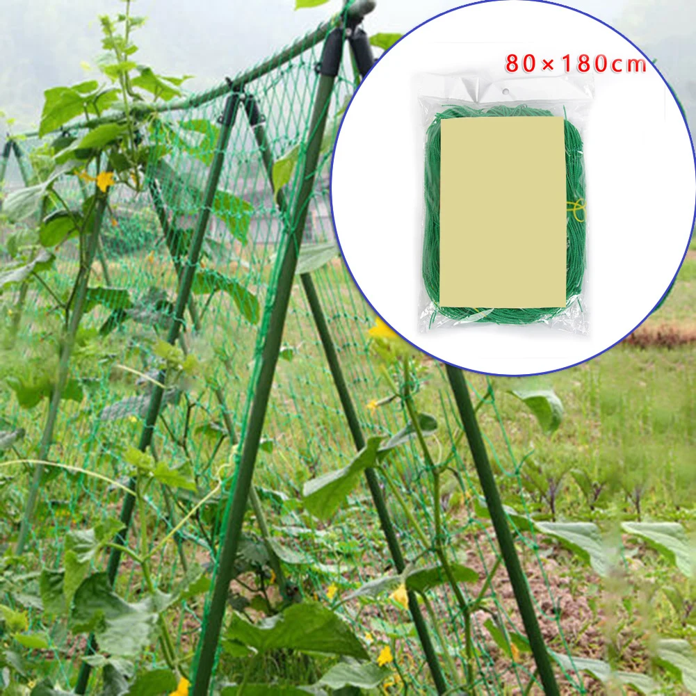 

80x180cm Nylon Trellis Garden Netting Plants Climbing Frame Mesh Morning Glory Flowers Vine Mesh For Cucumbers Watermelons