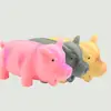 1PC Cute Rubber Sound Pig Grunting Squeak Latex Pet Chew Toys for Dog Squeaker Chew Training Puppy Supplies Pet Products 2