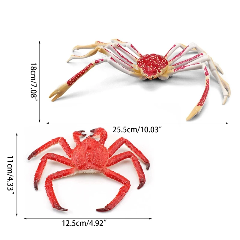 Realistic Ocean King Crab Gag Gift for Kids&Adults Kids Party Favor Toys Creative Supplies for Age 6+ Kids/Adults images - 6