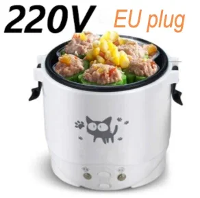 220V for Home