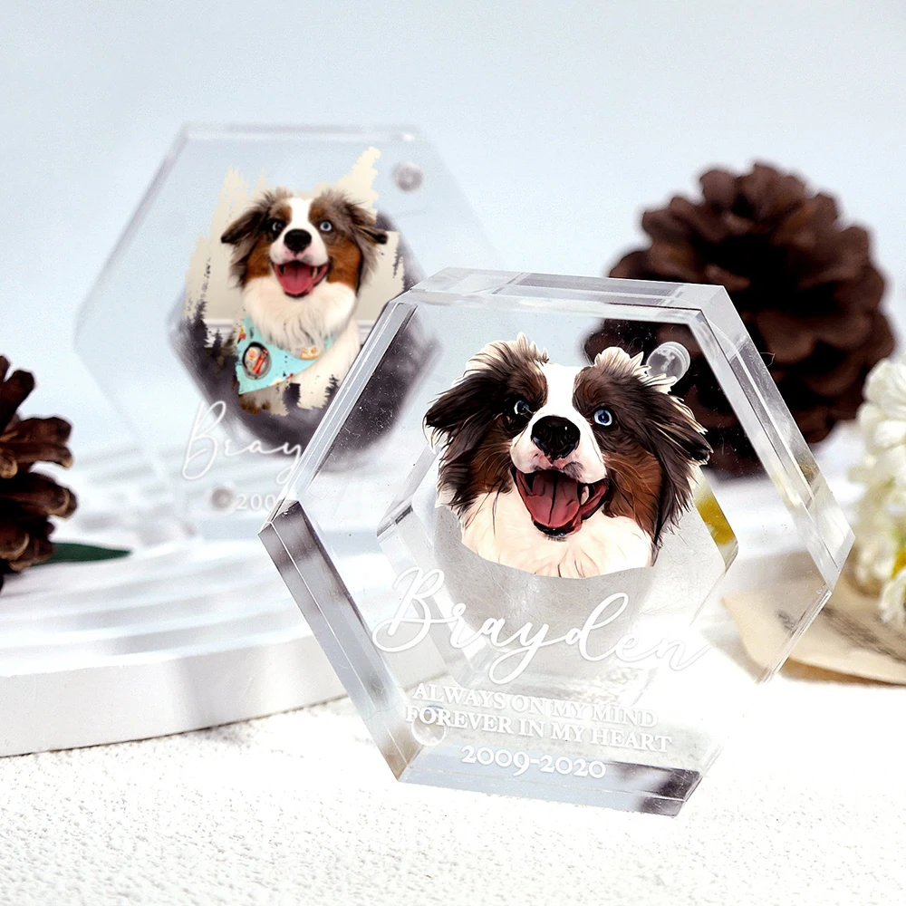 Personalized Pet Fur Keepsake With Photo Pet Hair Box Dog Cat Fur Memorial Box Gifts for Lovers Friends