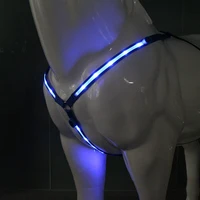 100 CM Long LED Horse Riding Tails Decoration Luminous Tubes Horses Riding Equestrian Saddle Halters Horse Care Products 2
