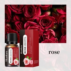 Aromatic Essential Oil Variety Set - 20 Fragrances for Diffusers and Humidifiers, 10ml Bottles (Rose)
