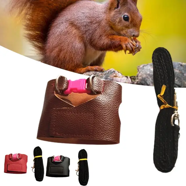 Squirrel Training Rope Squirrel Train Tool Leash Split Vest Small Animals Rabbit Iguana Squirrel Chinchilla Traction Rope 4