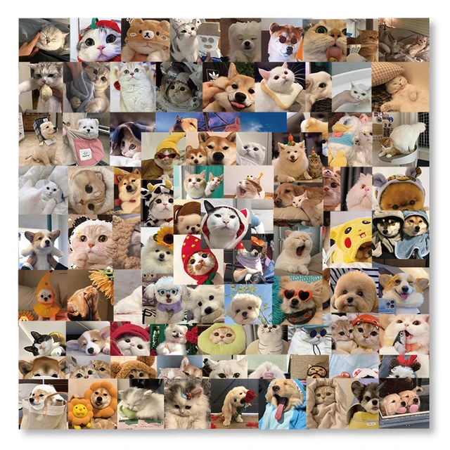 Funny Animal Stickers Pack for Kids, Dog, Pig, Suitcase, Laptop, iPad,  Phone, Scrapbooking Material, Cute Sticker Pack, 50Pcs - AliExpress