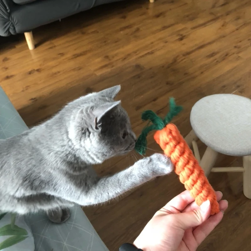 Cordes à nœuds en forme de carotte pour chiens - 2025 - Vêtement et accessoires pour chiens - Doglovedesign