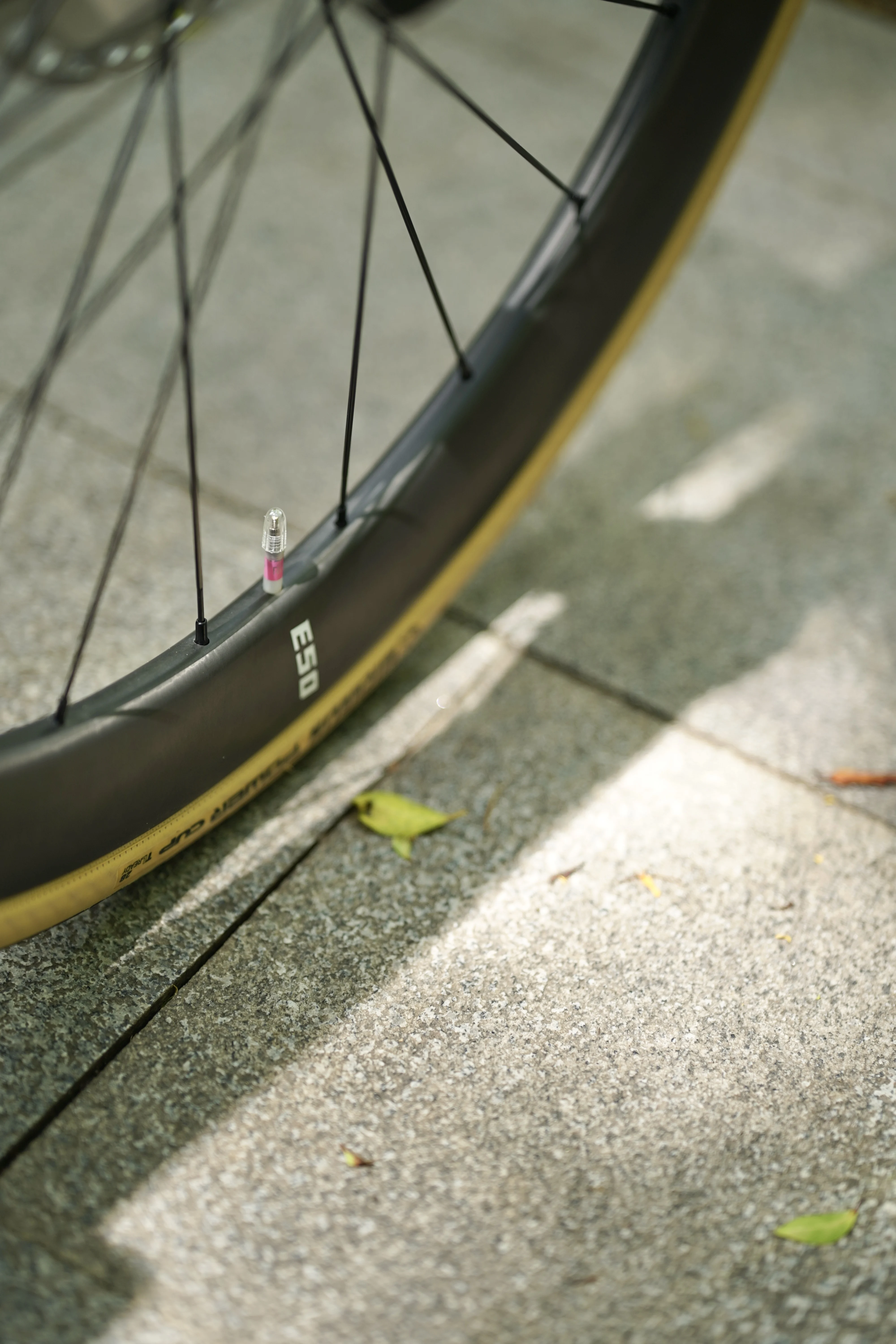 Elilee E50 カーボンホイール 前後セット ELILEE / E50 ホイールセット