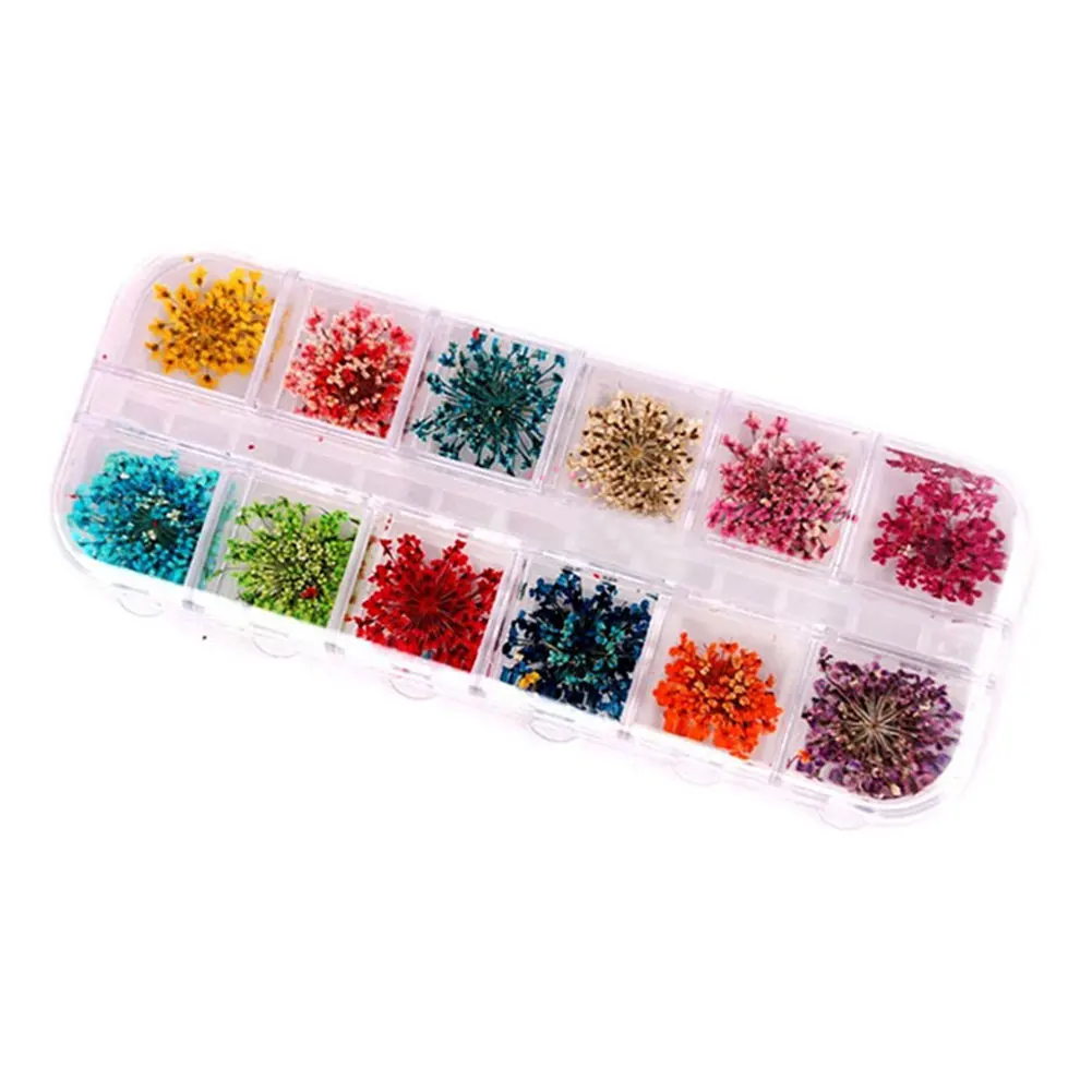 

12 Colors DIY Nail Art Mixed Dried Flowers With Bottle 3D Dry Flower Decoration Nails Stickers Manicure Tips