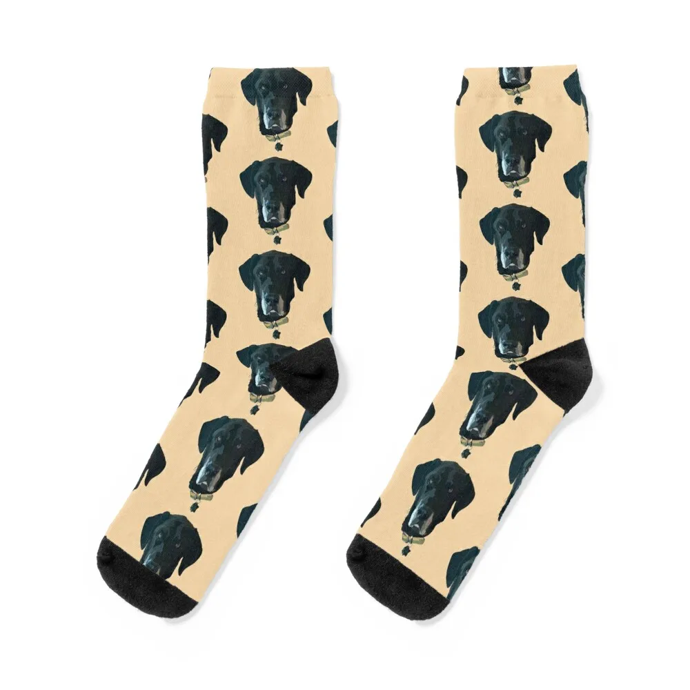 Walter Socks Socks set socks man anime socks Socks with print Socks Female Men's