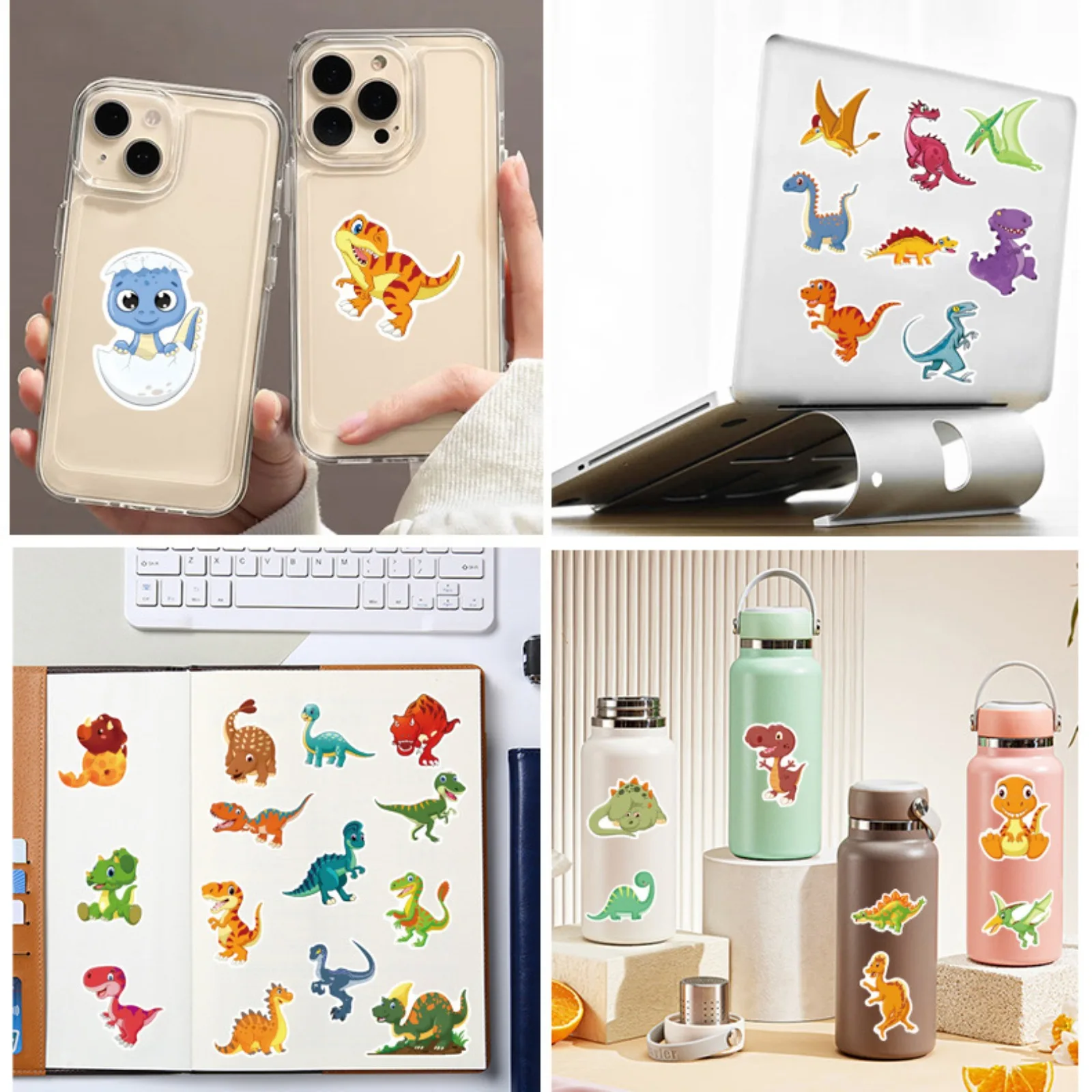 dsc-products