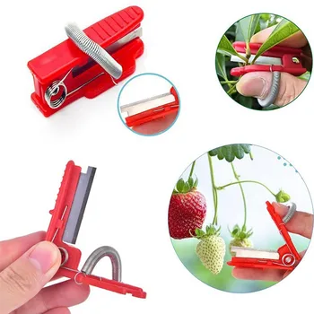 Small Thumb Pruning Scissors Multifunction Vegetable Fruits Picking Device Practical Orchard Gardening Branches Pruning Tools
