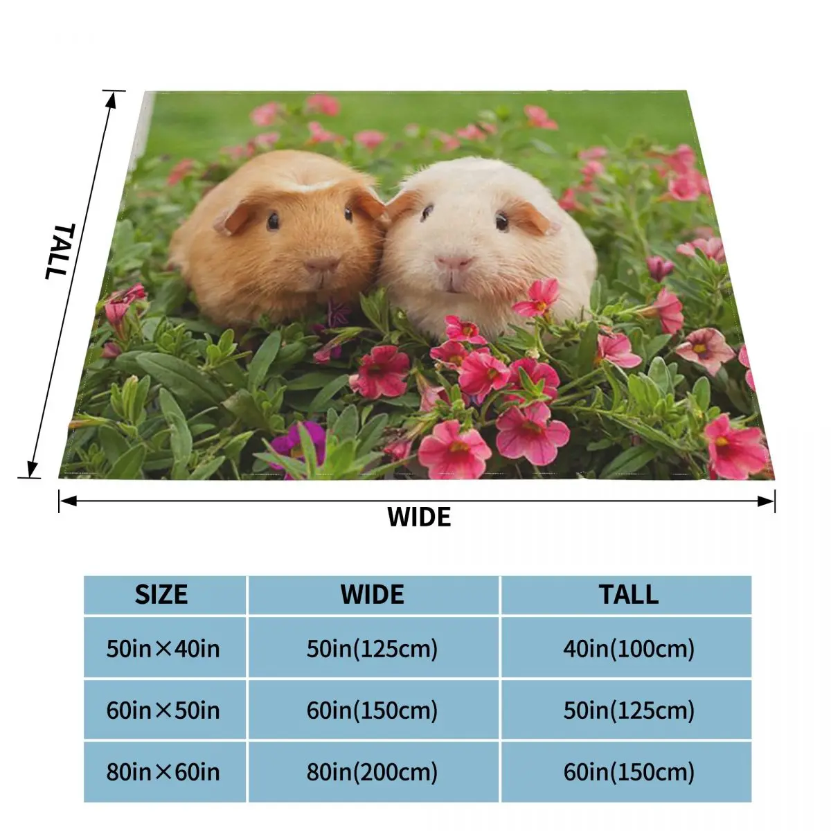 ����Ǳ� ���, ��ȣ ���� ���� �ܿ� ����, �Ϳ��� �޴�� ��Ʈ�� ����Ʈ ������ ���, ���� �繫�ǿ� ���� ���� �̺�