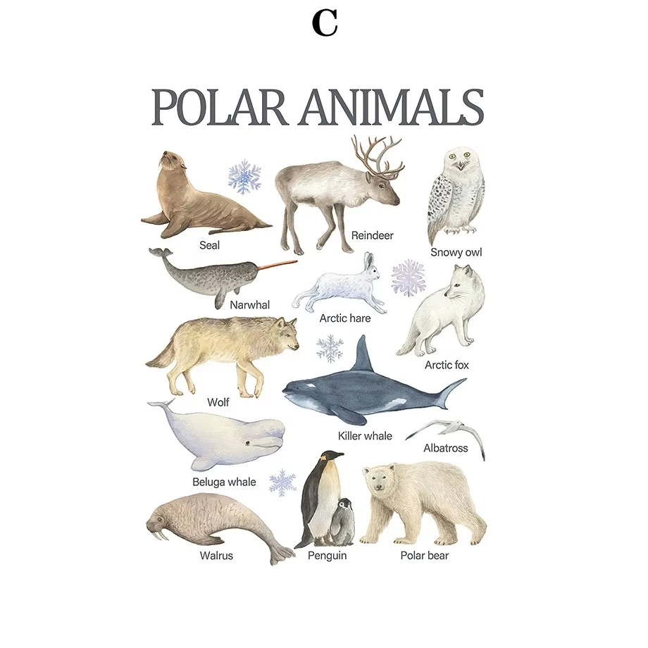 Buy S a b fba e b a d ct in Ghana.