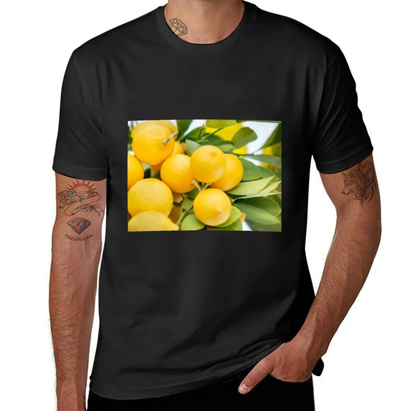 

Refreshing Summer Lemons T-Shirt plus sizes plain quick drying hippie clothes Men's t-shirt