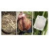 10PCS Plant Graft Box Rooting Equipment High Pressure Propagation Ball Garden For Indoor And Outdoor Plants Roses Climbers 3
