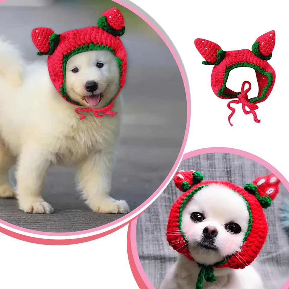 Cestino a forma di cane Cappello di fragola per cani carino Cappello  lavorato a mano per gatti Accessori per abbigliamento per animali  Orsacchiotto Cambia vestito Cappelli per cani - AliExpress, image size:960x960