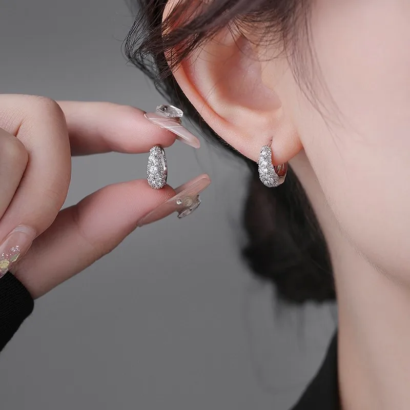 925 Silver Exquisite Zircon Earrings 2026 New Style Fashionable Elegant High End Design Luxurious Earrings for Women - 4