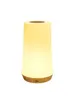 GGbingo 13 Color Night Light Touch Dimmable Remote Control USB Recharge Emergency Lighting RGB Portable Bedside Lamp for Home 6