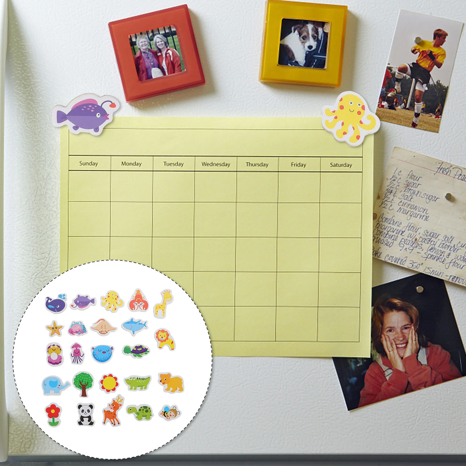 

Minkissy Magnets Fridge 24 Pack Sea Animal Pattern Fridge Magnet Home Restaurant Use Stickers Animal Magnets Toddlers