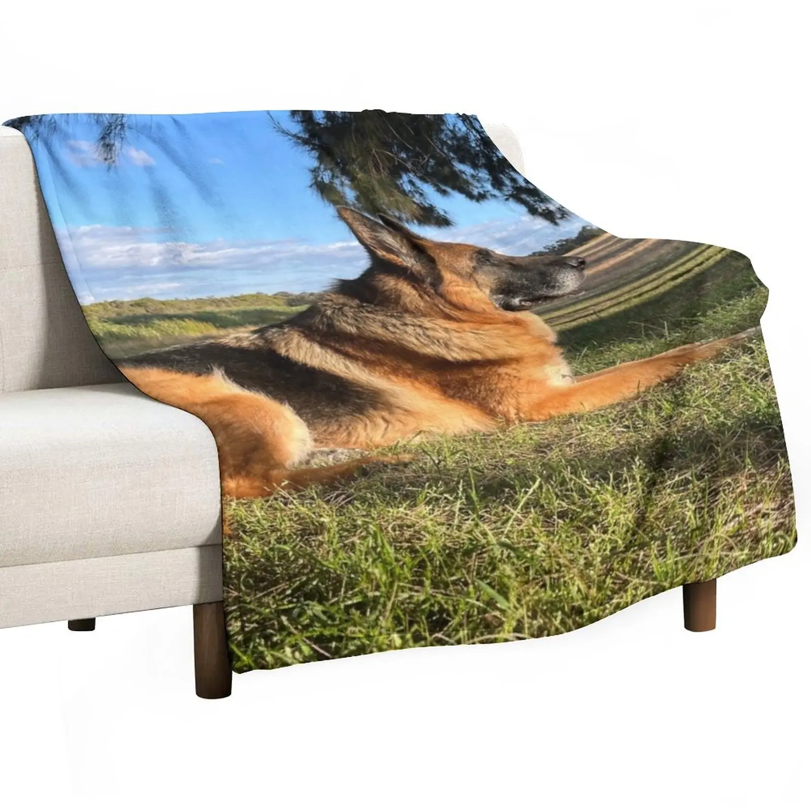 

Shepherd in the Sun Throw Blanket Picnic Blankets For Bed Blankets