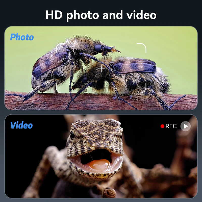 Slide image e992fe4ea34e495ba1fe467089b80490