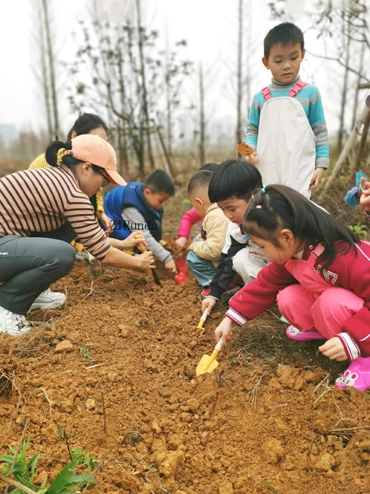 ~gardening tools Succulent potted plants Planting shovels Kindergarten planting flowers Small shovels Dig sand and catch the sea