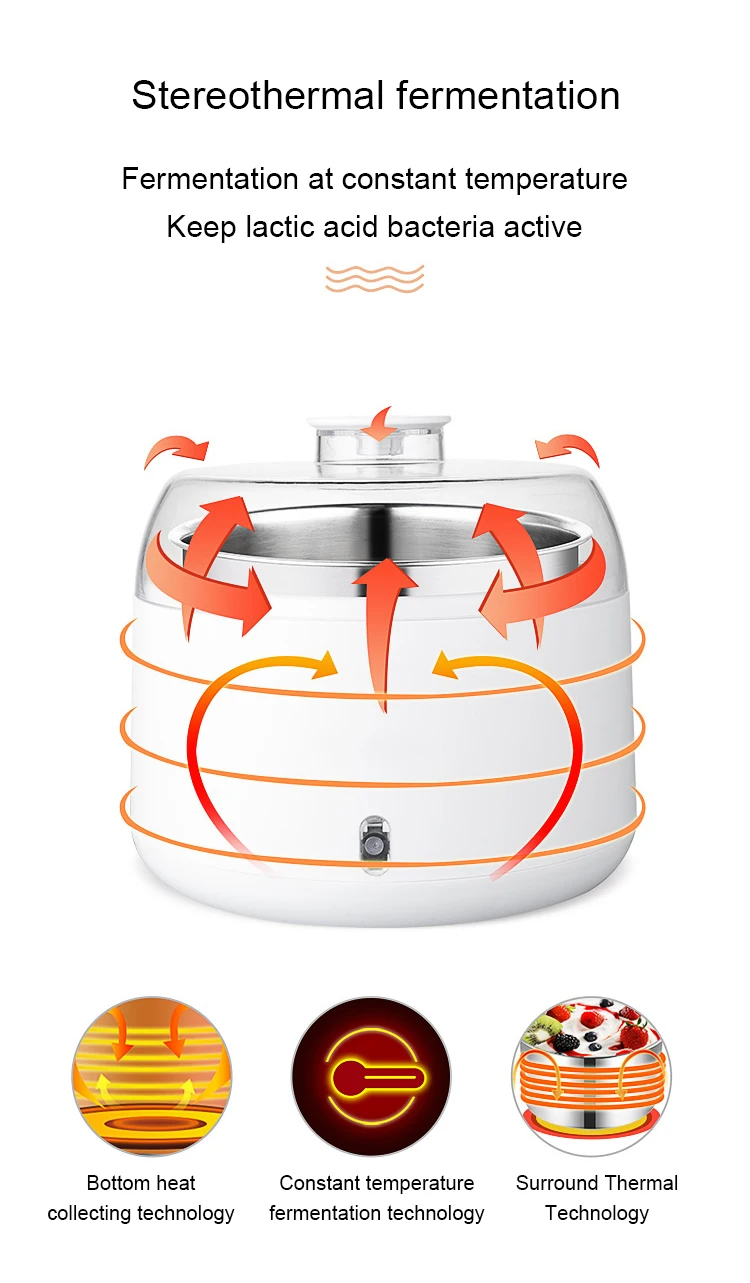 DMWD Multifunctional Mini Yogurt Maker 1L Stainless Steel Liner Leben Ferment Machine Automatic Natto Rice Wine DIY Yogurt Tools 4