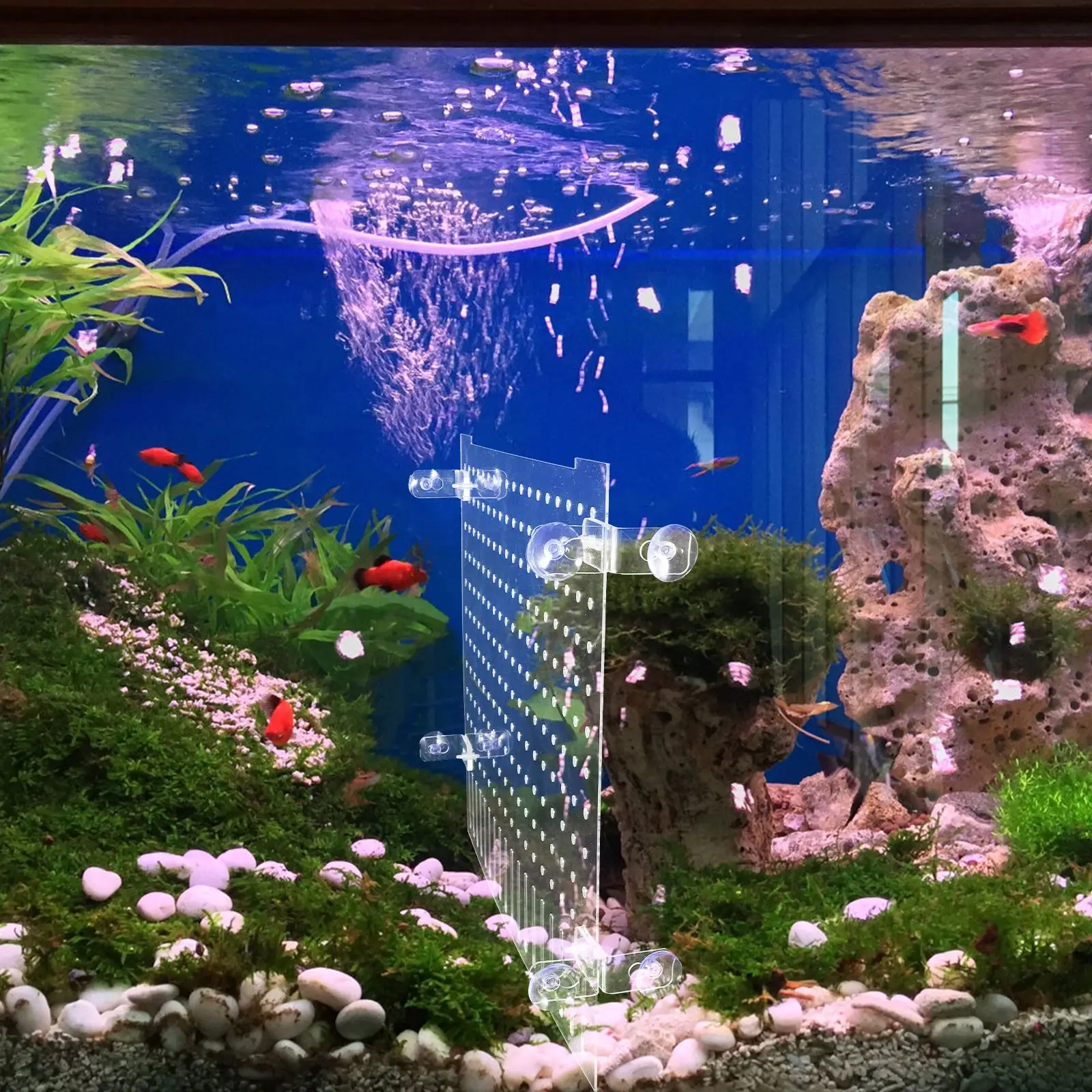 Fish Tank Isolation Board Divider With Suction Cup Separator Acrylic Aquarium Baffle For Transparent Fish Tank Divider