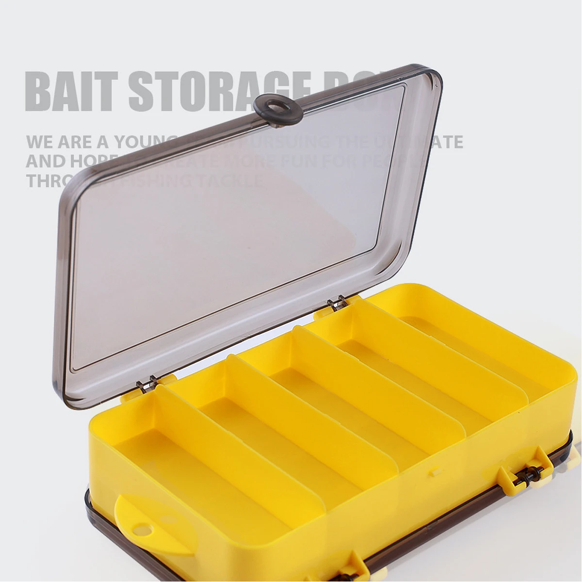 Double-Sided Fishing Lure Hook Tackle Box Visible Hard Plastic