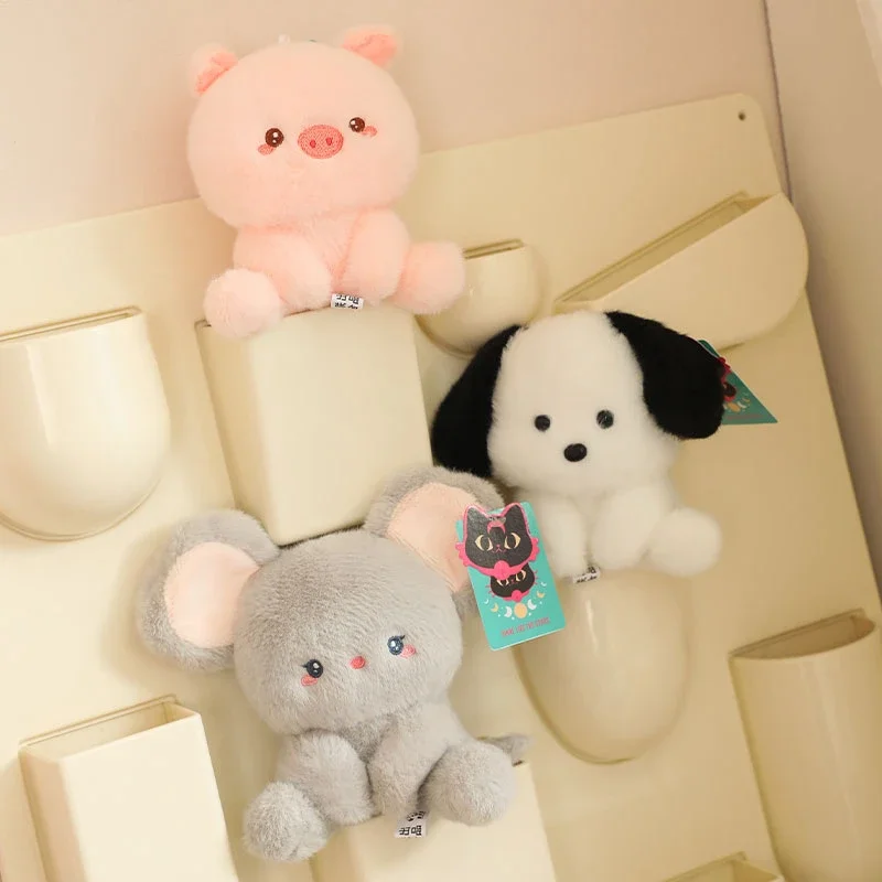 dsc-products
