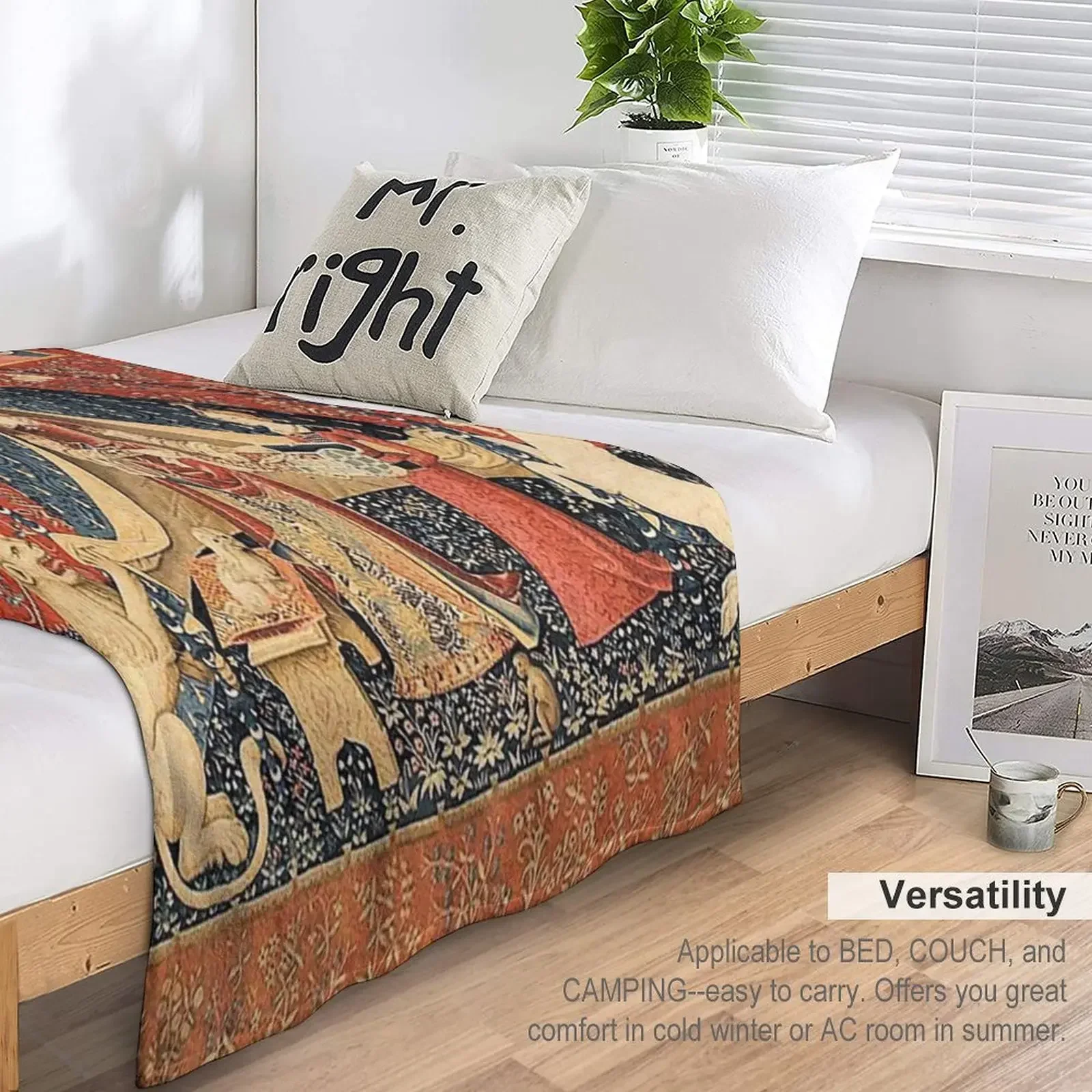 The Lady and the Unicorn: La Damea la licorne ������ ���, ���Ÿ� �����̳� �̱� �ڽ����� �ִϸ��̼� �ʴ��� ������ ���