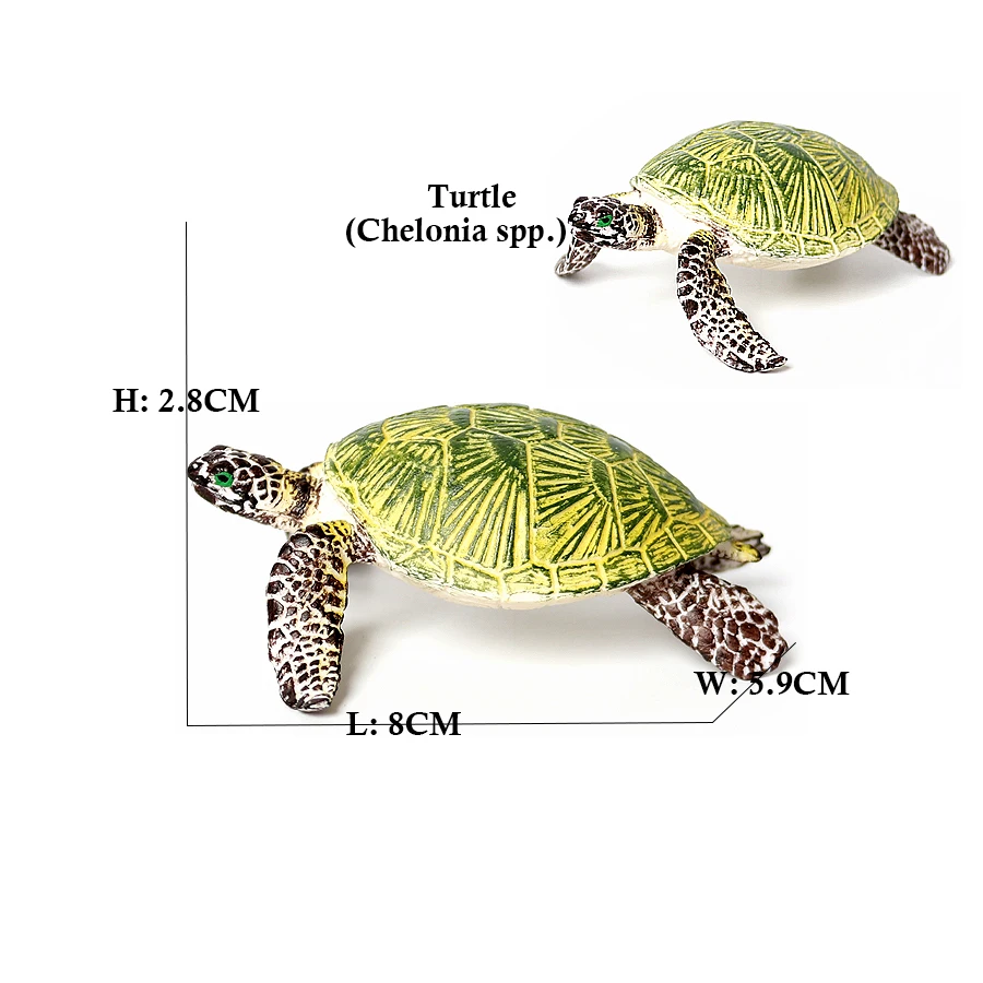Turtle and Tortoise Action Figure Playset - Sea and Marine Animal Toy Collection