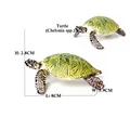 Little Turtle D
