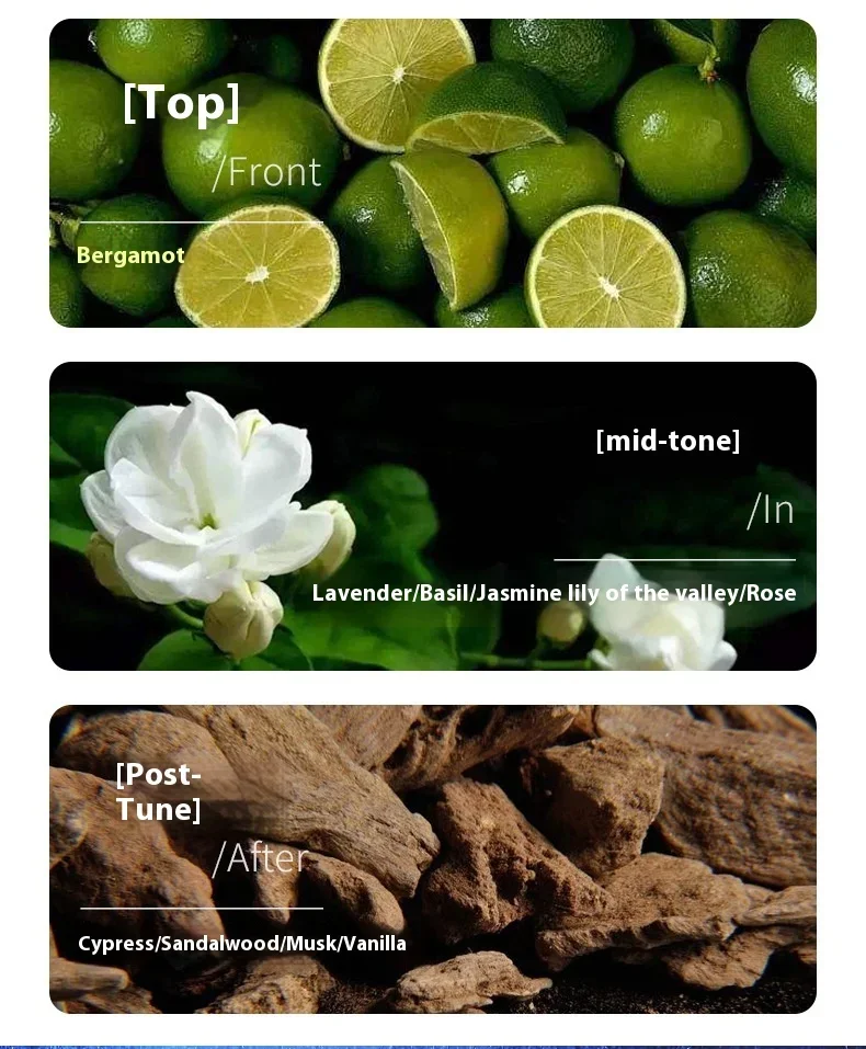 Woody Men Parfümspray – Flirting Pheromone – Langanhaltender Duft nach Sandelholz und Ozean – Ein lebendiges Geschenk für den Gentleman_voghion.com