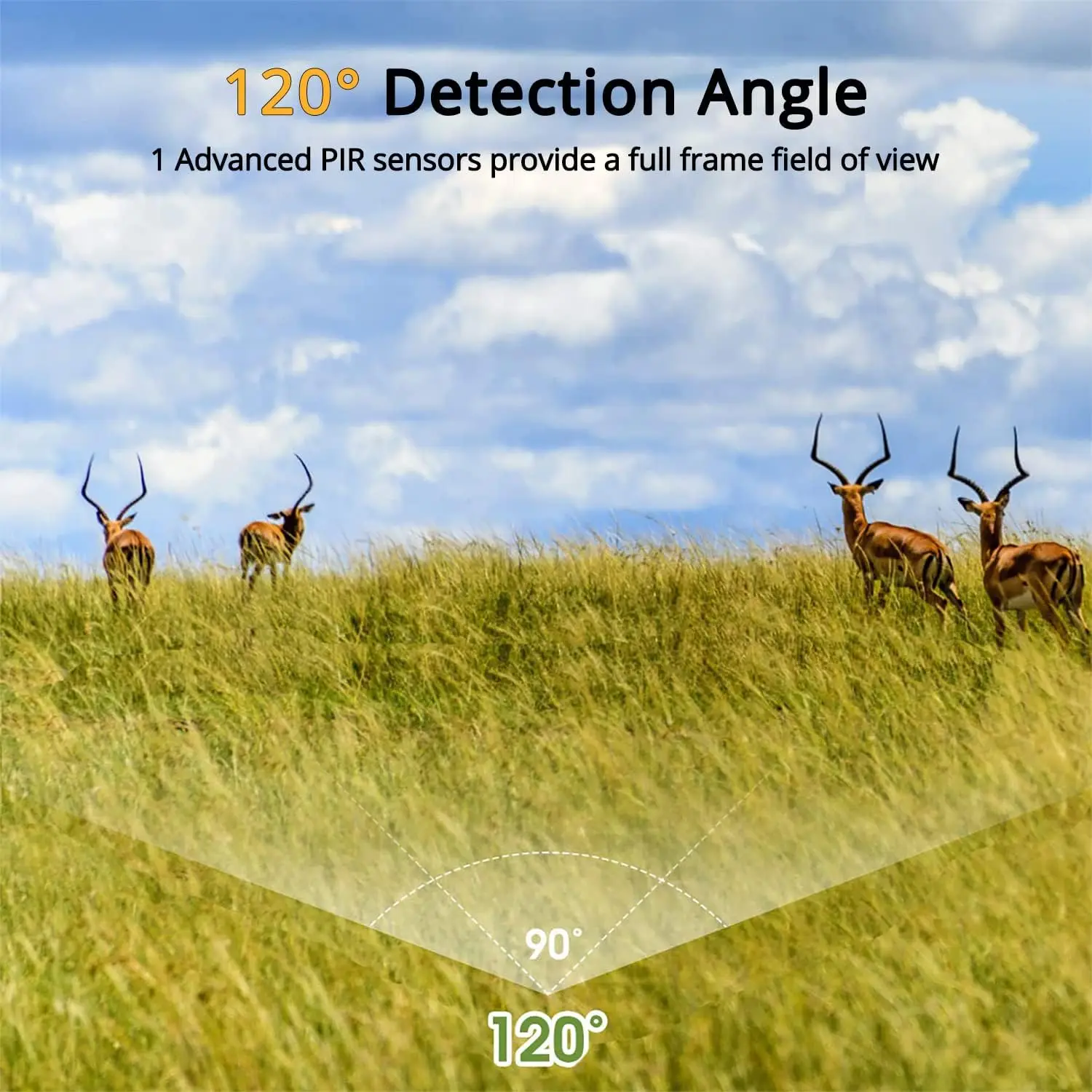 24MP 2.7K Trail Camera IR LED Night Vision 0.2s Motion Activated 120 Detecting Range Waterproof Garden Watching Nature Scouting hunting trail camera,trail camera