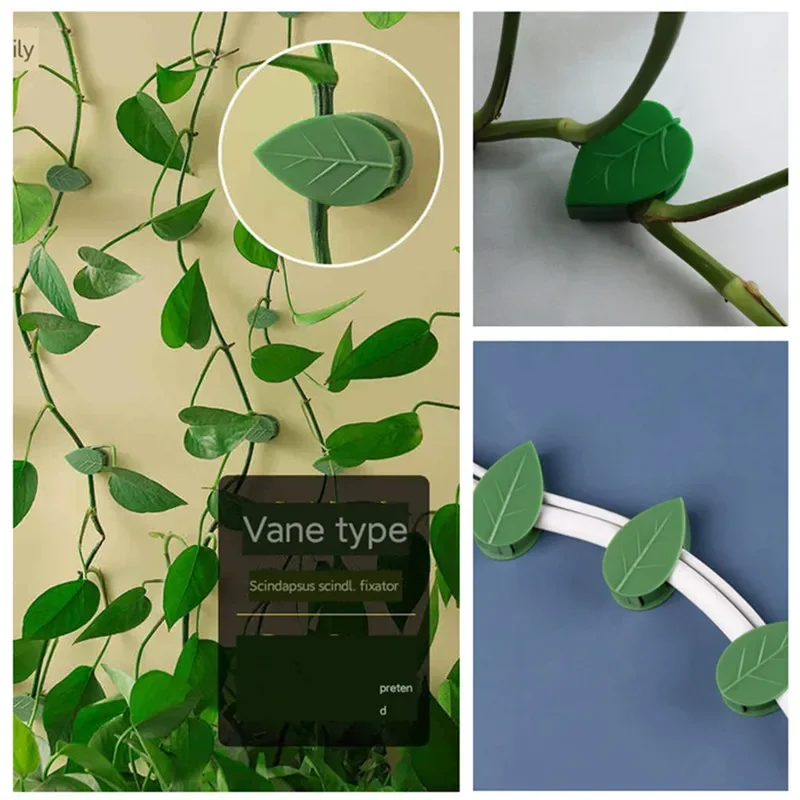 

Plant Climbing Wall Fixture, Garden Fixer, Wire Fixing Snap, Invisible Rattan Vine Clip Fastener, 5 Pcs, 10Pcs