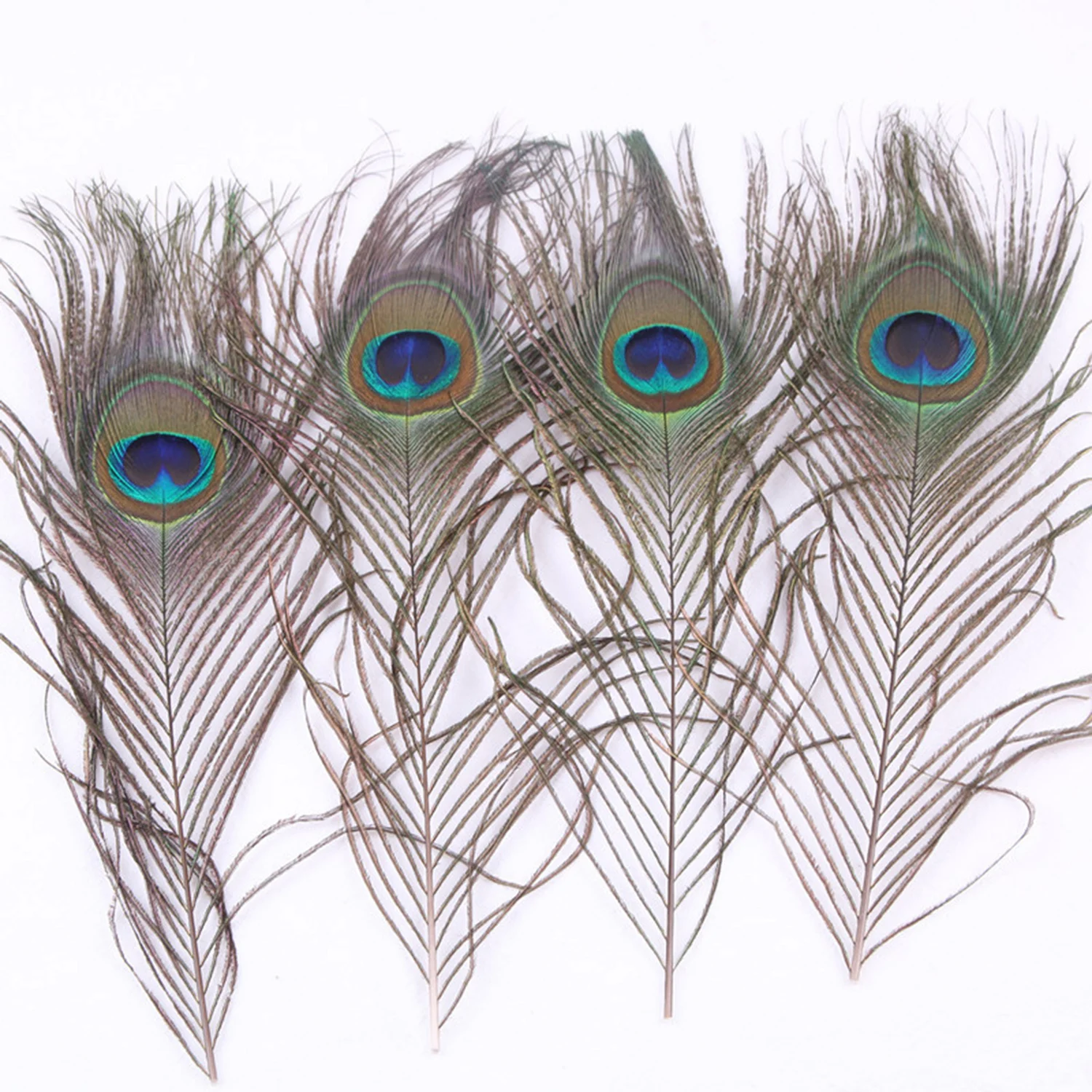 Wholesale 10Pcs/Lot Natural Peacock Feathers for DIY Craft Wedding Holiday  Decorationn Home Decoration and Floral Arrangement