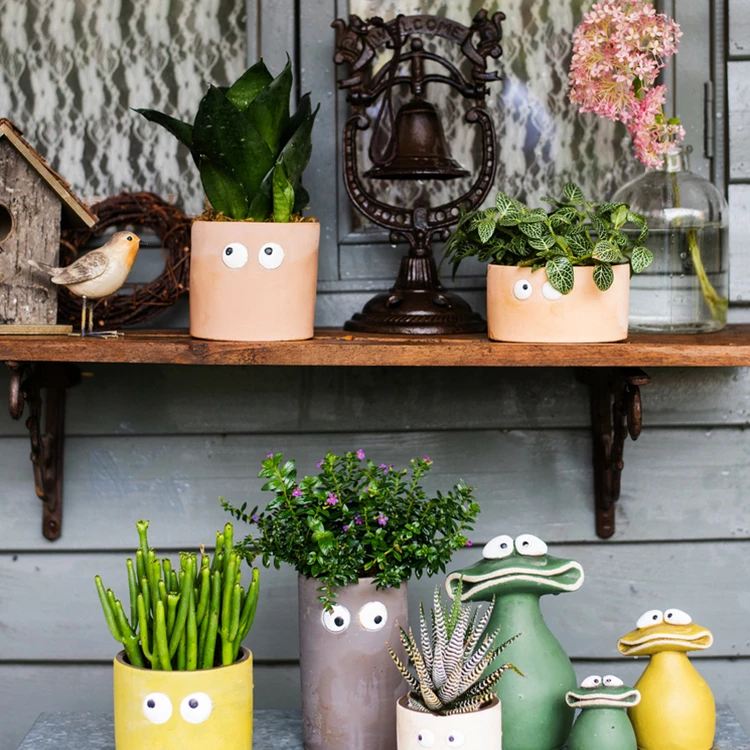 Big Eyes Art Flower Pot, Cute Meat, Personalized Cartoon, Multi fleshed Green Creative Potted Plants,_voghion.com