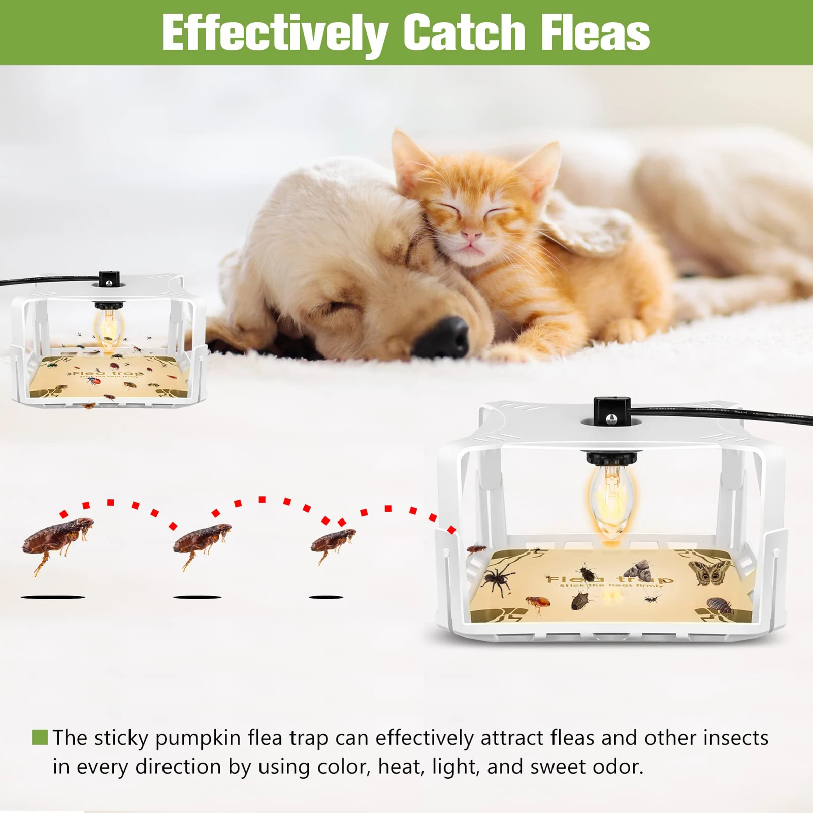 https://ae01.alicdn.com/kf/S7276698334ed4b4ba705e4ca6e76c8f51/Flea-Trap-Lamp-Useful-Simple-Installation-Safe-to-Use-Indoor-Sticky-Flea-Trap-with-LED-Lamp.jpg