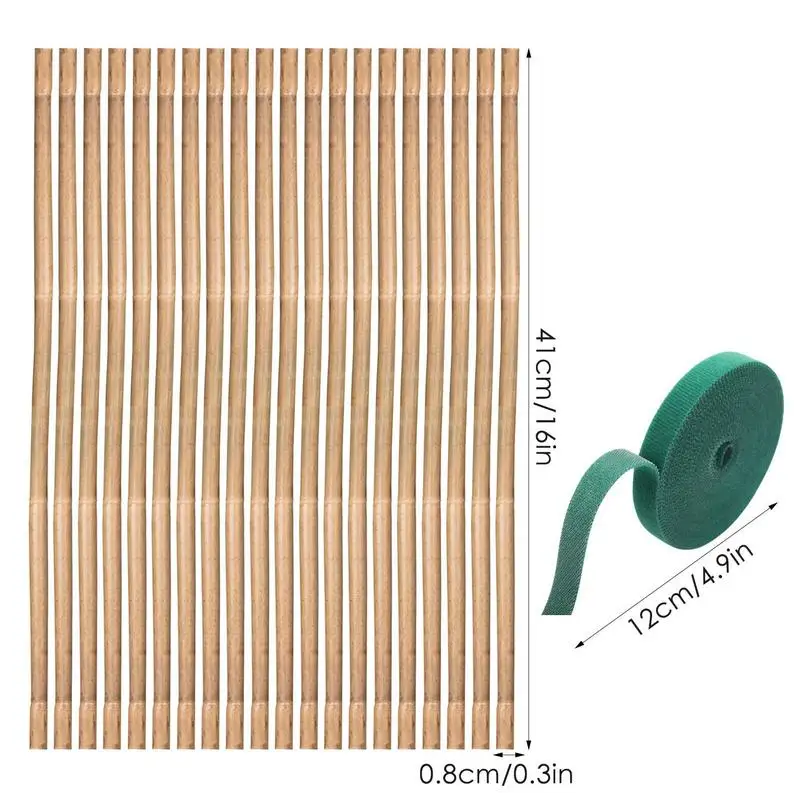  е尡 ִ 20PCS Ĺ  ũ ڿ  볪 ƽ Ĺ ũ